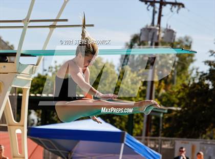 Thumbnail 1 in AIA Division I,III Diving Finals photogallery.