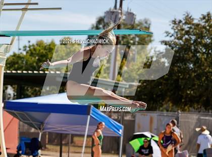 Thumbnail 1 in AIA Division I,III Diving Finals photogallery.