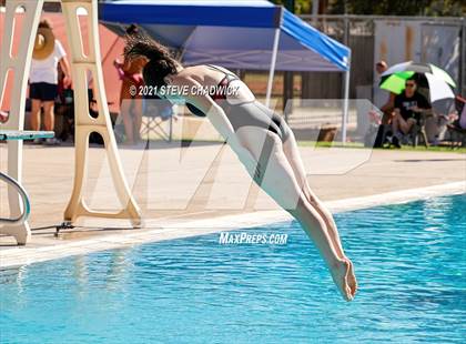 Thumbnail 2 in AIA Division I,III Diving Finals photogallery.