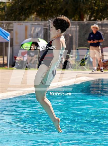 Thumbnail 1 in AIA Division I,III Diving Finals photogallery.