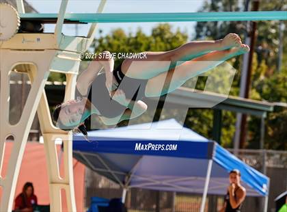Thumbnail 1 in AIA Division I,III Diving Finals photogallery.