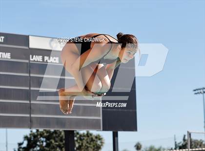 Thumbnail 1 in AIA Division I,III Diving Finals photogallery.
