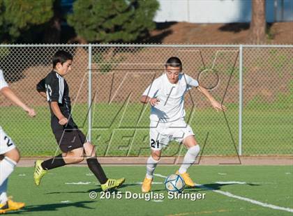 Thumbnail 1 in Hayward @ Tennyson photogallery.