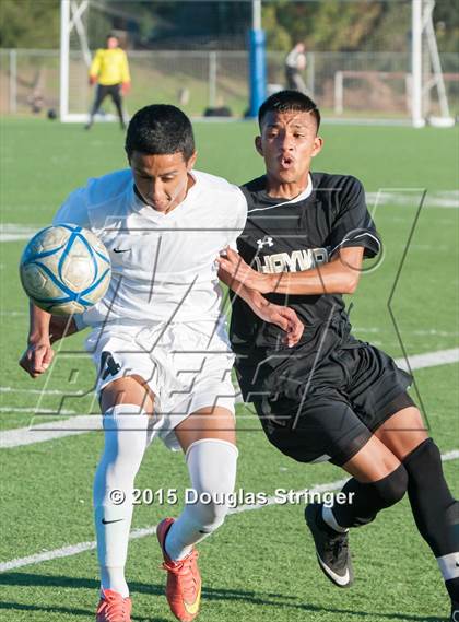 Thumbnail 3 in Hayward @ Tennyson photogallery.