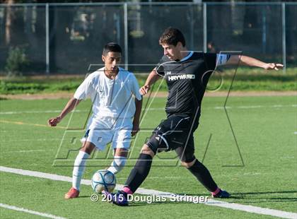 Thumbnail 2 in Hayward @ Tennyson photogallery.