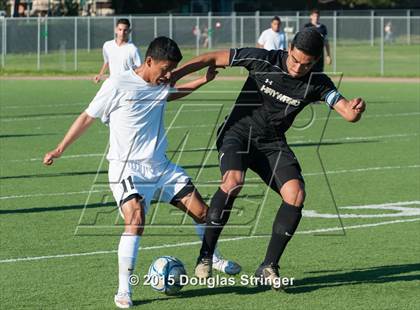 Thumbnail 1 in Hayward @ Tennyson photogallery.
