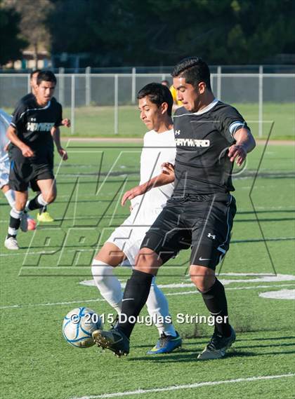 Thumbnail 3 in Hayward @ Tennyson photogallery.