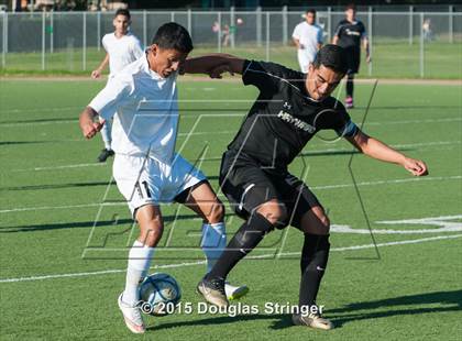 Thumbnail 2 in Hayward @ Tennyson photogallery.