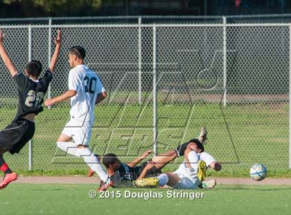Thumbnail 1 in Hayward @ Tennyson photogallery.