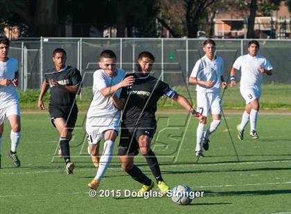 Thumbnail 2 in Hayward @ Tennyson photogallery.