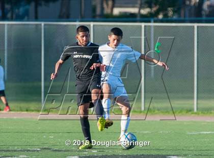 Thumbnail 3 in Hayward @ Tennyson photogallery.