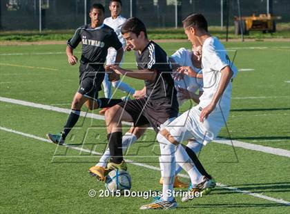 Thumbnail 1 in Hayward @ Tennyson photogallery.