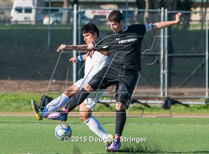 Thumbnail 2 in Hayward @ Tennyson photogallery.