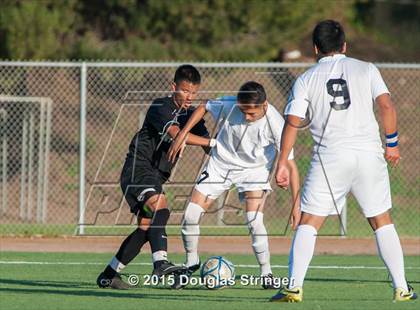 Thumbnail 2 in Hayward @ Tennyson photogallery.