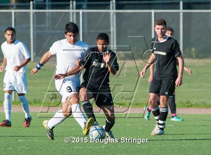 Thumbnail 3 in Hayward @ Tennyson photogallery.
