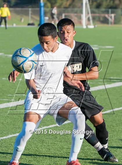 Thumbnail 1 in Hayward @ Tennyson photogallery.
