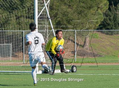 Thumbnail 1 in Hayward @ Tennyson photogallery.