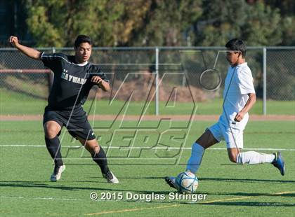 Thumbnail 1 in Hayward @ Tennyson photogallery.