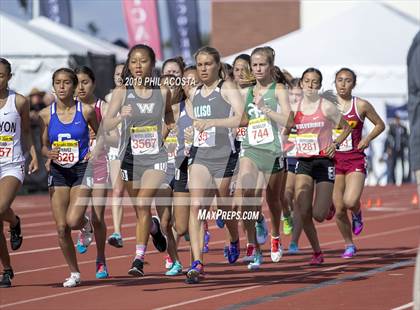 Thumbnail 3 in Arcadia Invitational photogallery.