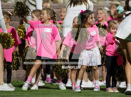 Thumbnail 3 in Fort Collins @ Mountain Vista photogallery.