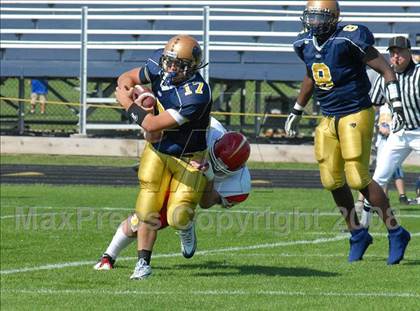 Thumbnail 3 in Williamsville East @ Sweet Home photogallery.