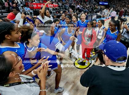 Thumbnail 2 in Serra vs. Sacred Heart Cathedral Preparatory (CIF State D1 Final) photogallery.