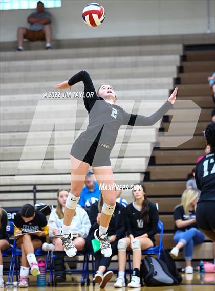 Thumbnail 1 in Birdville @ Weatherford photogallery.