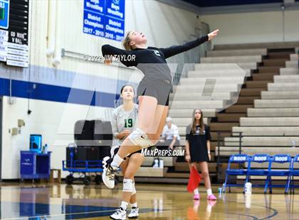 Thumbnail 2 in Birdville @ Weatherford photogallery.