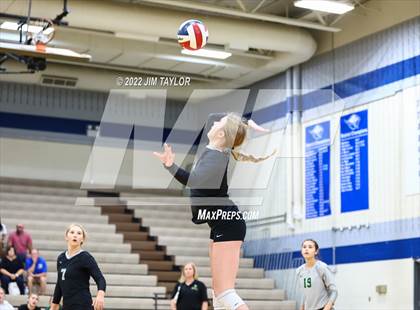 Thumbnail 2 in Birdville @ Weatherford photogallery.
