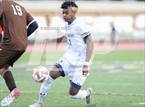 Photo from the gallery "Bellarmine College Prep @ Saint Francis"