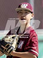 Photo from the gallery "Cardinal Newman @ Whitney"