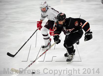 Thumbnail 3 in White Plains @ Scarsdale photogallery.