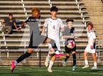 Photo from the gallery "Oakton @ Westfield"