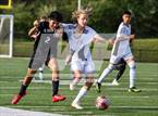 Photo from the gallery "Oakton @ Westfield"
