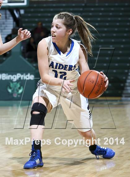 Thumbnail 1 in Horseheads vs Ossining (NYSPHSAA Class AA Regional Final) photogallery.