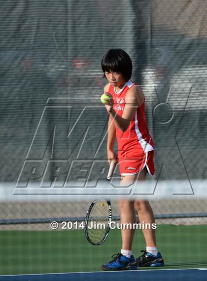 Thumbnail 1 in Palatine @ Fremd photogallery.