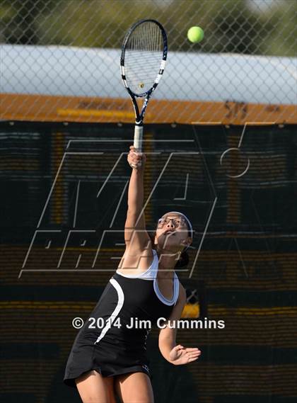 Thumbnail 2 in Palatine @ Fremd photogallery.