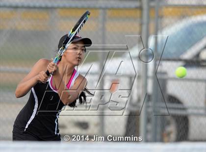 Thumbnail 1 in Palatine @ Fremd photogallery.