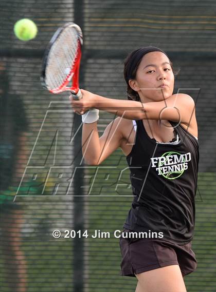 Thumbnail 3 in Palatine @ Fremd photogallery.