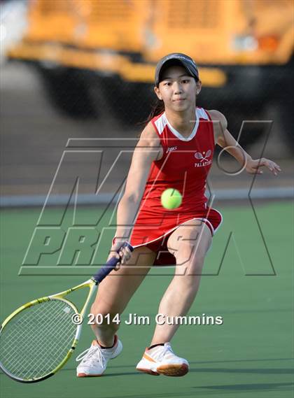 Thumbnail 2 in Palatine @ Fremd photogallery.