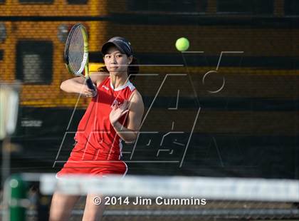 Thumbnail 3 in Palatine @ Fremd photogallery.