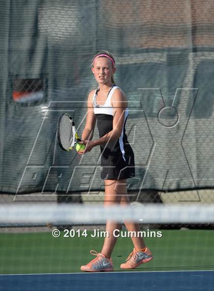 Thumbnail 3 in Palatine @ Fremd photogallery.