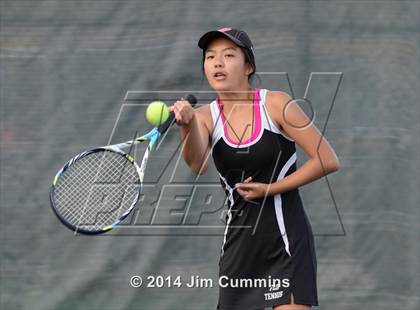 Thumbnail 3 in Palatine @ Fremd photogallery.