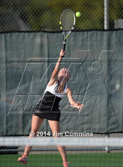 Thumbnail 1 in Palatine @ Fremd photogallery.