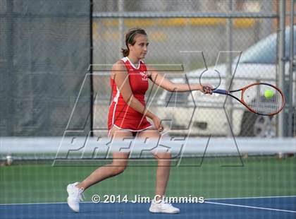 Thumbnail 3 in Palatine @ Fremd photogallery.