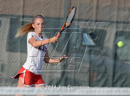 Thumbnail 3 in Palatine @ Fremd photogallery.