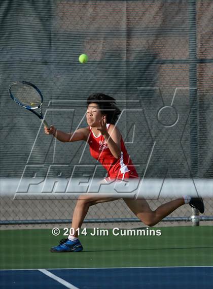 Thumbnail 1 in Palatine @ Fremd photogallery.