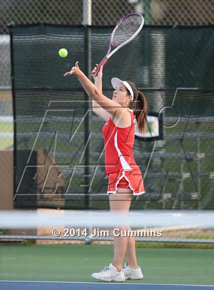 Thumbnail 3 in Palatine @ Fremd photogallery.