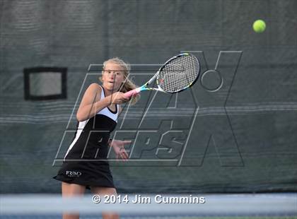 Thumbnail 1 in Palatine @ Fremd photogallery.