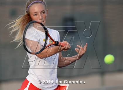 Thumbnail 3 in Palatine @ Fremd photogallery.